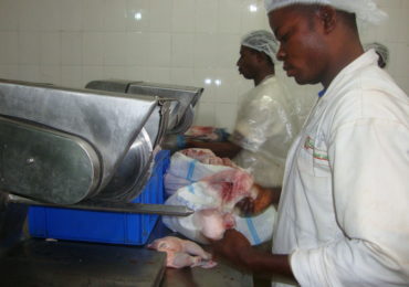 Broiler Processing Plant8